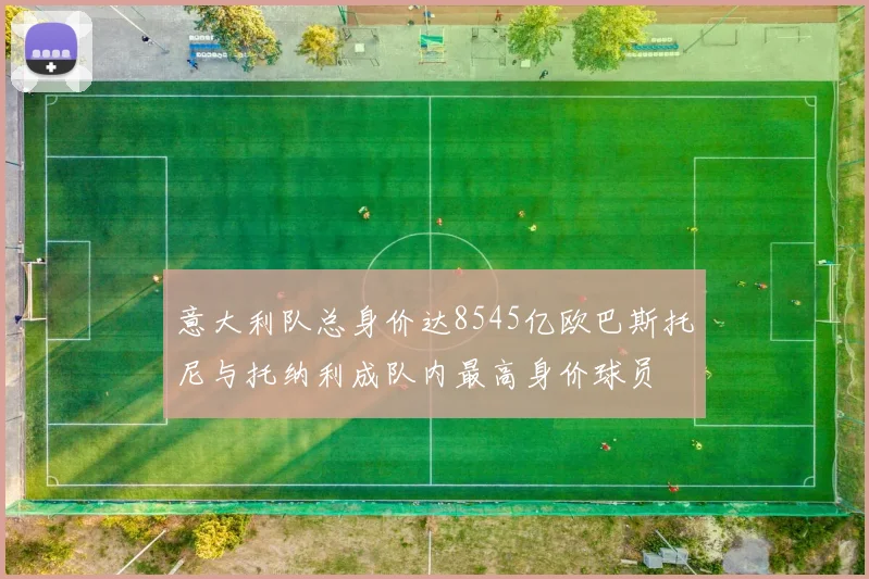 意大利队总身价达8545亿欧巴斯托尼与托纳利成队内最高身价球员